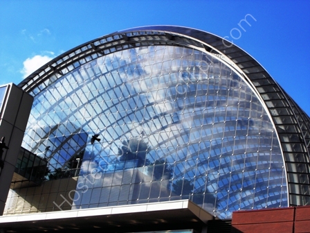 Bird at Kimmel Center